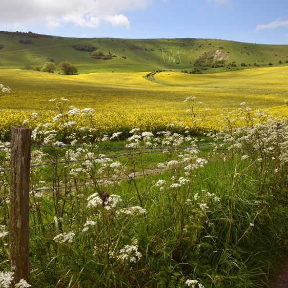 South Downs National Park