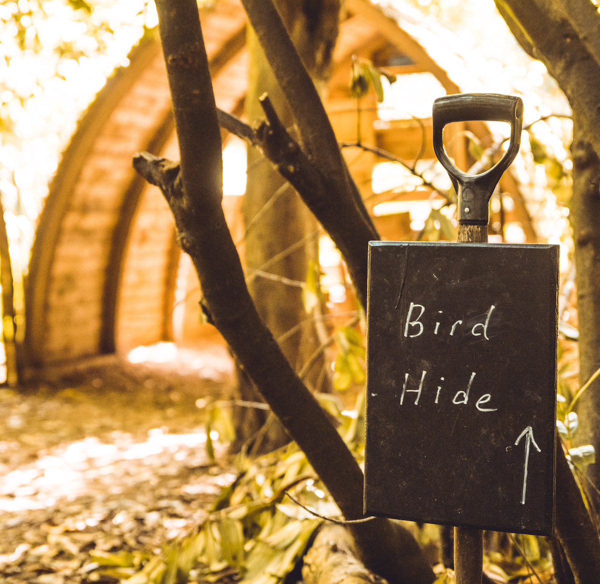 Polesden Lacey house and wider estate