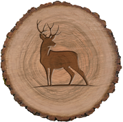 Wildeye Adventures  Icon