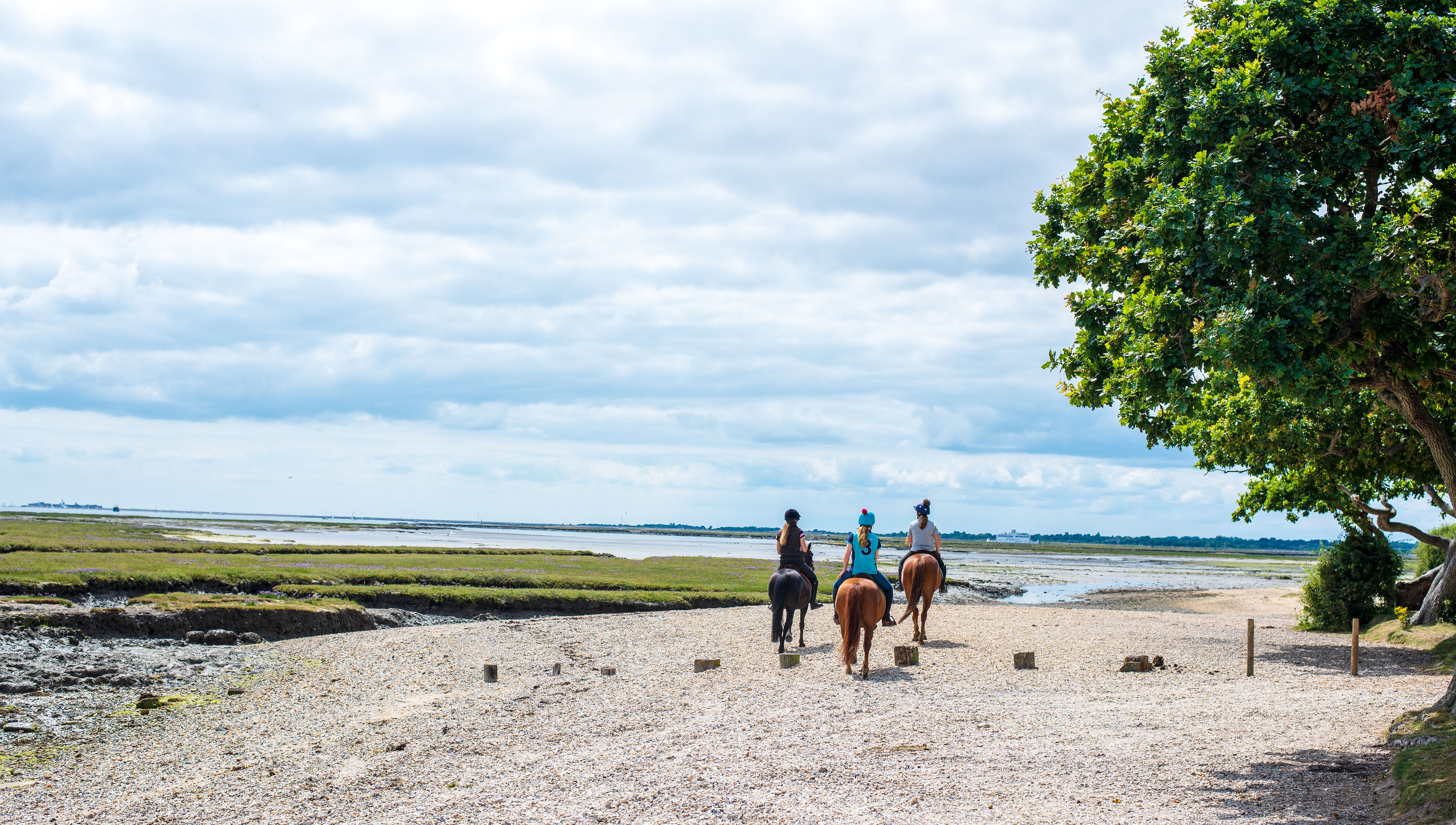 Seaside, ponies and Forest Trails