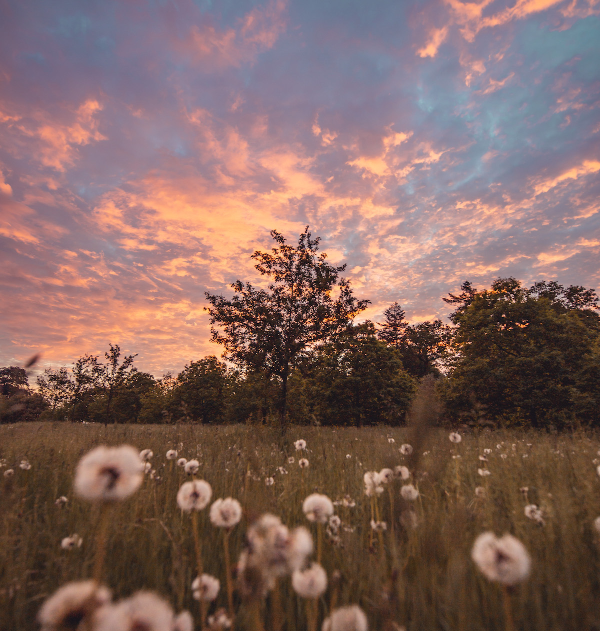 Polesden Lacey house and wider estate