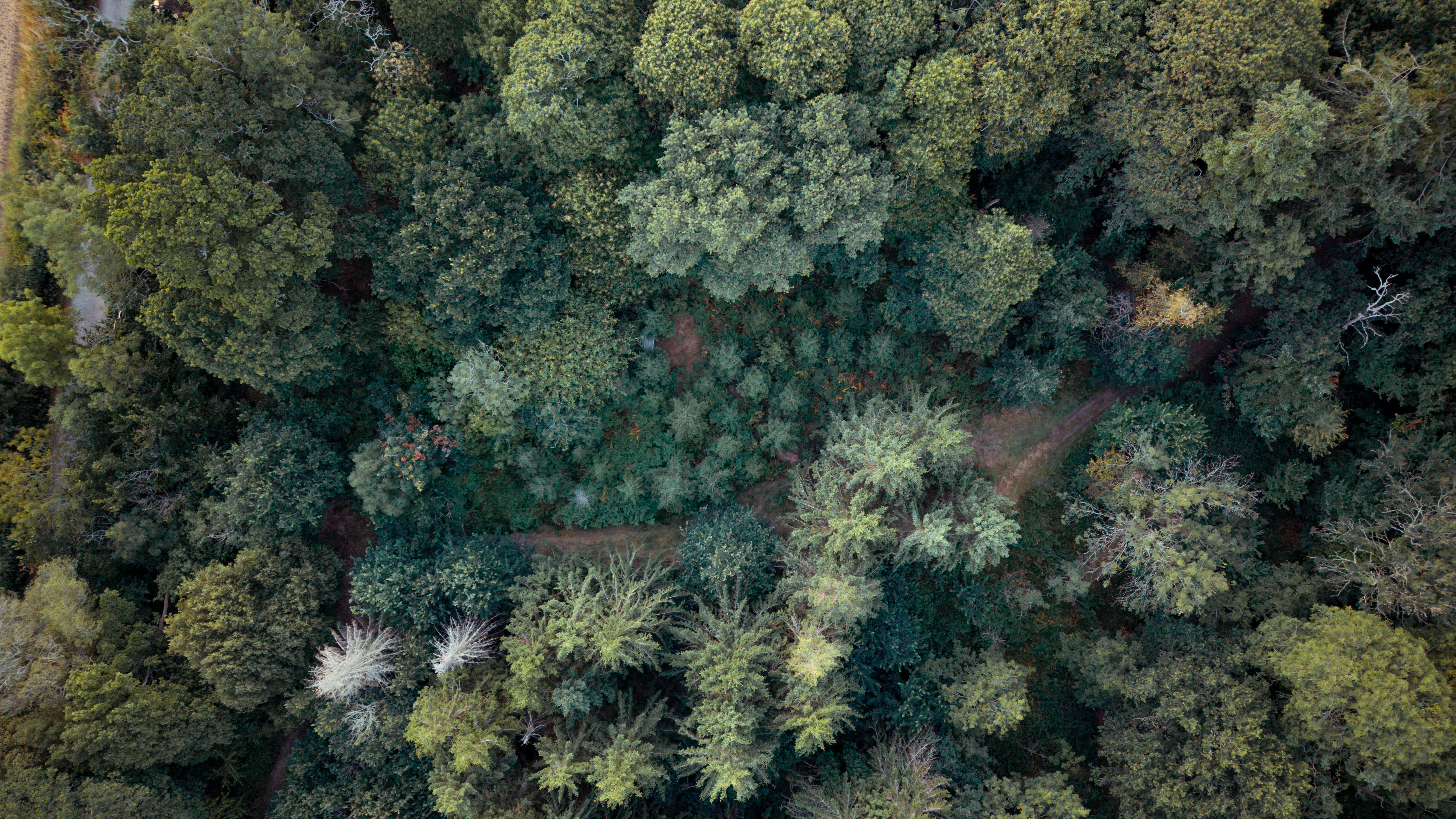 Hiking and Exploring