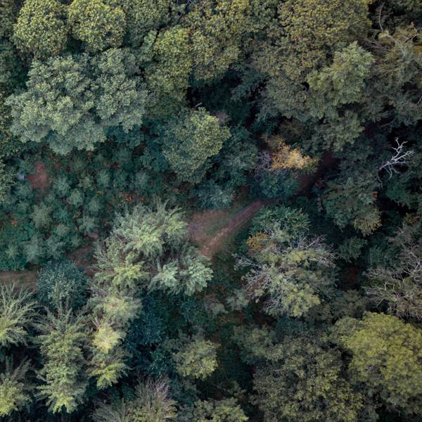 Hiking and Exploring Hiking and Exploring