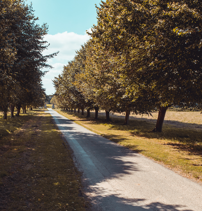 Directions, check-in and parking