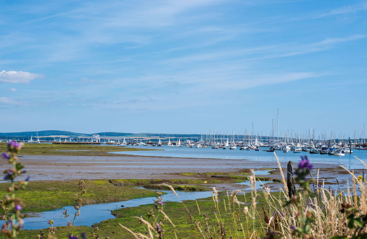 Seaside, ponies and Forest Trails