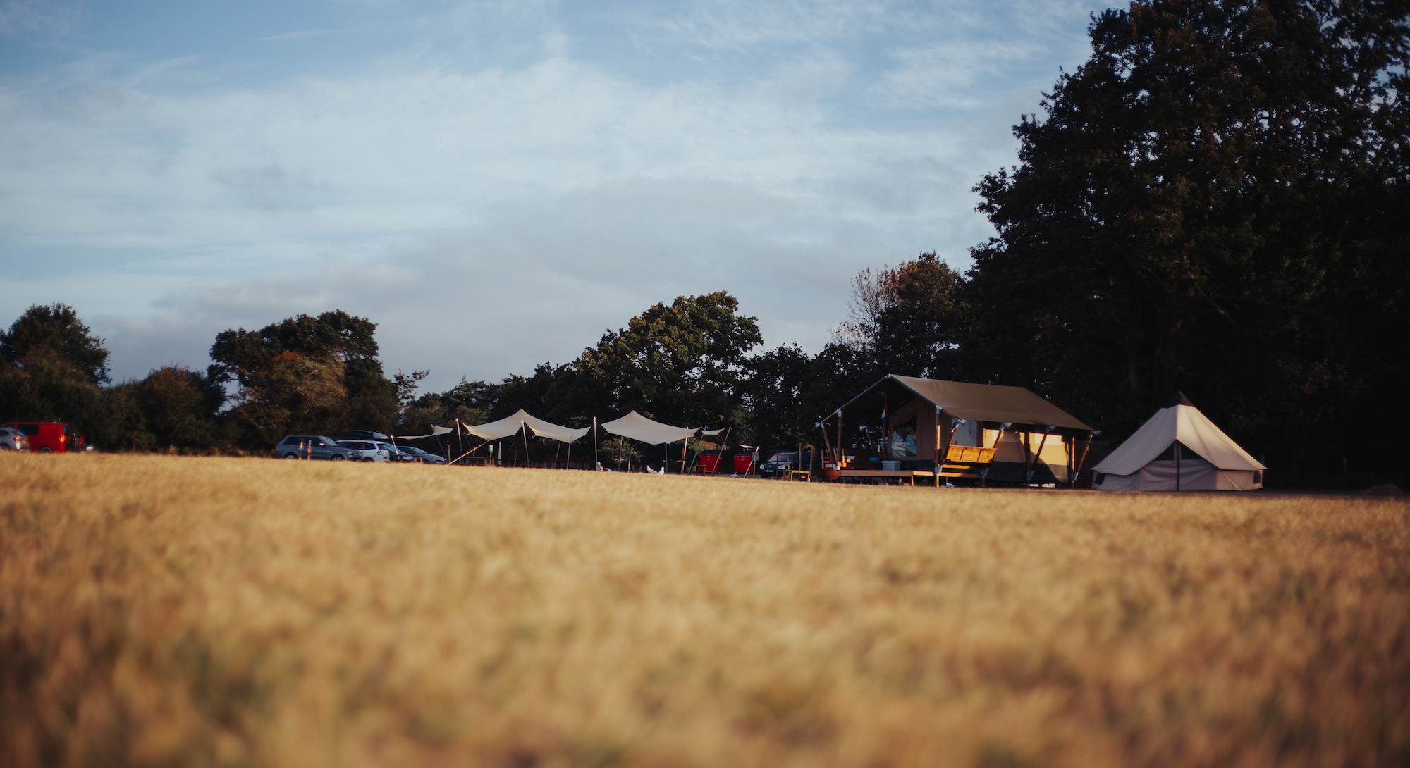 Campsite in the New Forest at Pylewell Park Embers Camping