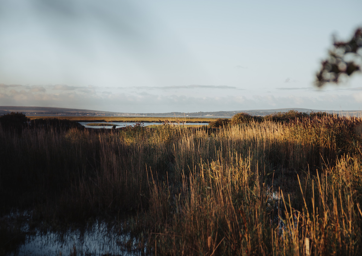 Seaside, ponies and Forest Trails