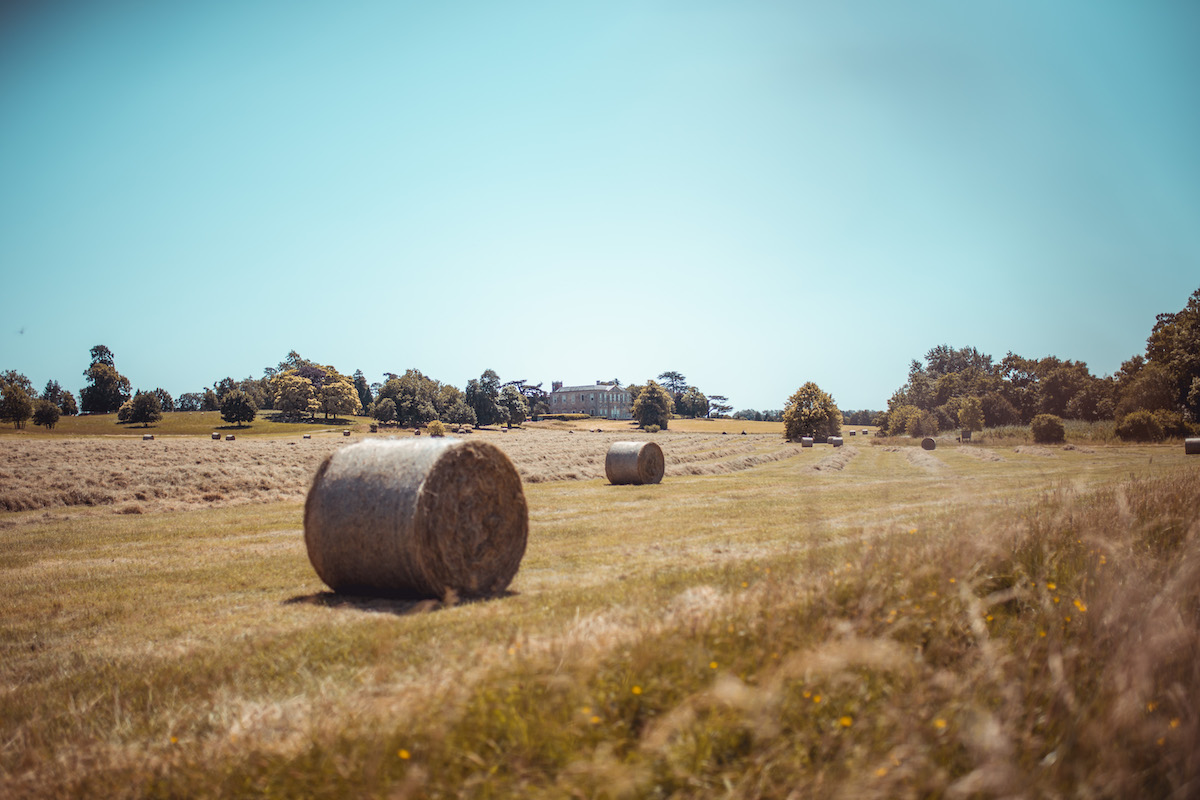 claydon courtyard & estate