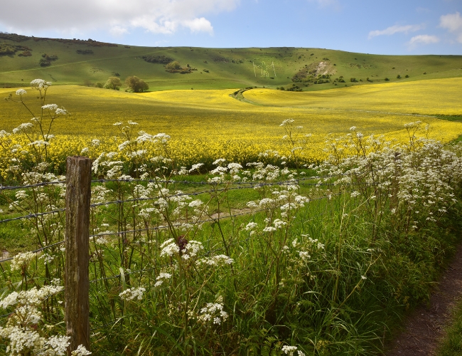 South Downs National Park