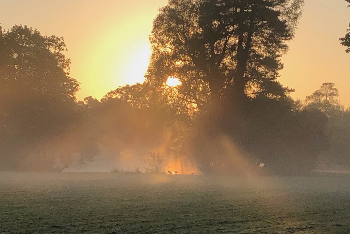 Enjoy the River Thames and walks into Henley