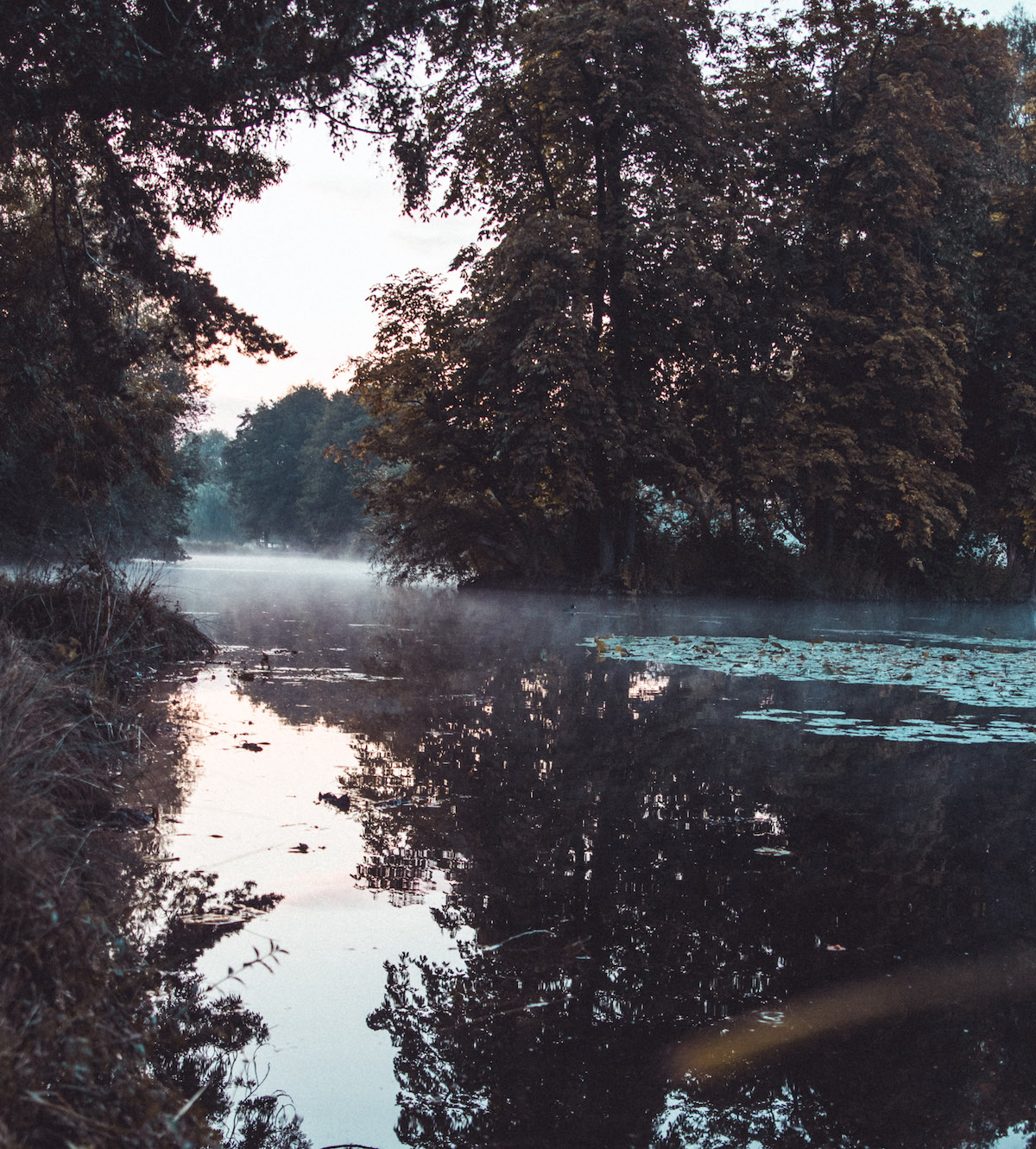 Enjoy the River Thames and walks into Henley
