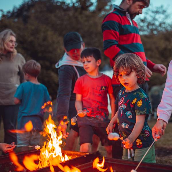 Camp Fires Camp Fires