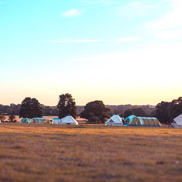 Large grass pitches Large grass pitches